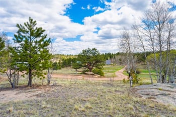 121 Bridle Ln, Florissant, CO 80816