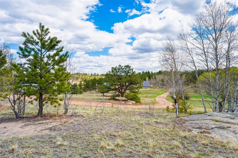 121 Bridle Ln, Florissant, CO 80816
