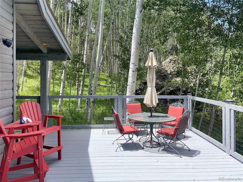 410 Elk Meadow Rn, Antonito, CO 81120