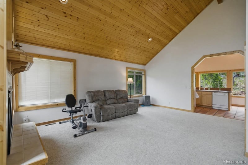 290 Eagle Rock Rd, Florissant, CO 80816