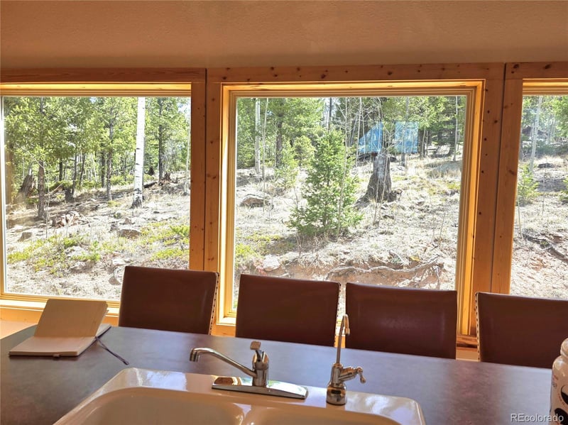 290 Eagle Rock Rd, Florissant, CO 80816