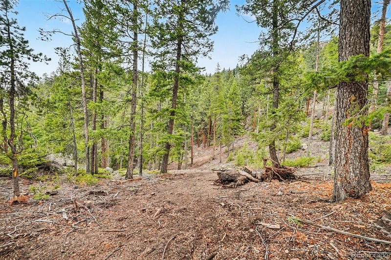 7141 Timber Trail Rd, Evergreen, CO 80439