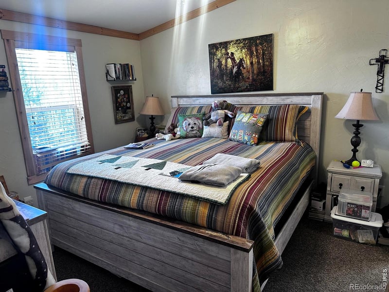 44 Natchez Cir, Red Feather Lakes, CO 80545