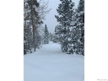 44 Natchez Cir, Red Feather Lakes, CO 80545