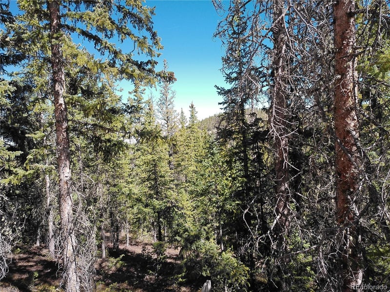 Forbes , Fort Garland, CO 81133