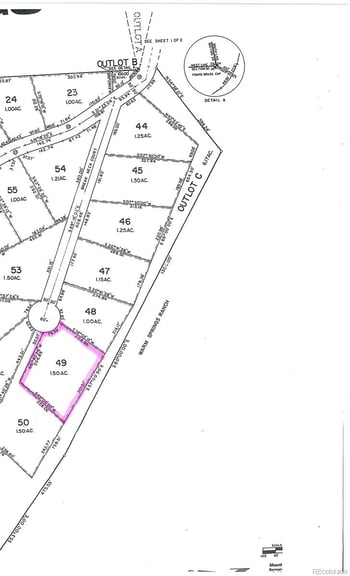 169 Fen Ct, Fairplay, CO 80440