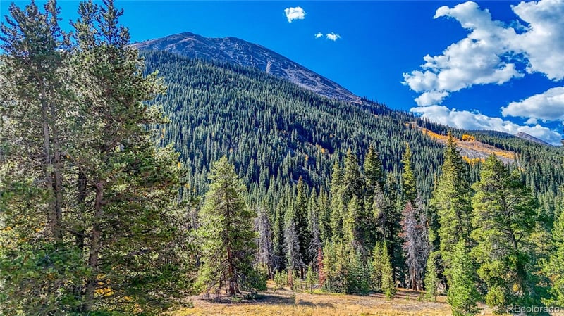 Tbd Highway 82, Twin Lakes, CO 81251