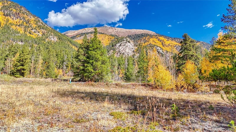 Tbd Highway 82, Twin Lakes, CO 81251