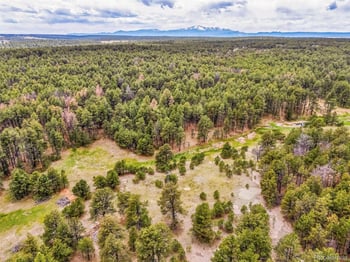 10655 Hardy Rd, Colorado Springs, CO 80908