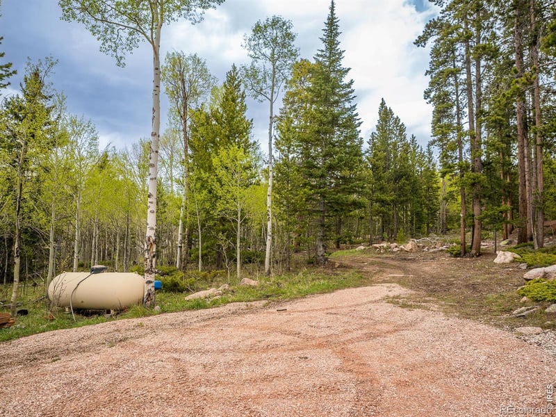 2227 Osage Trl, Red Feather Lakes, CO 80545