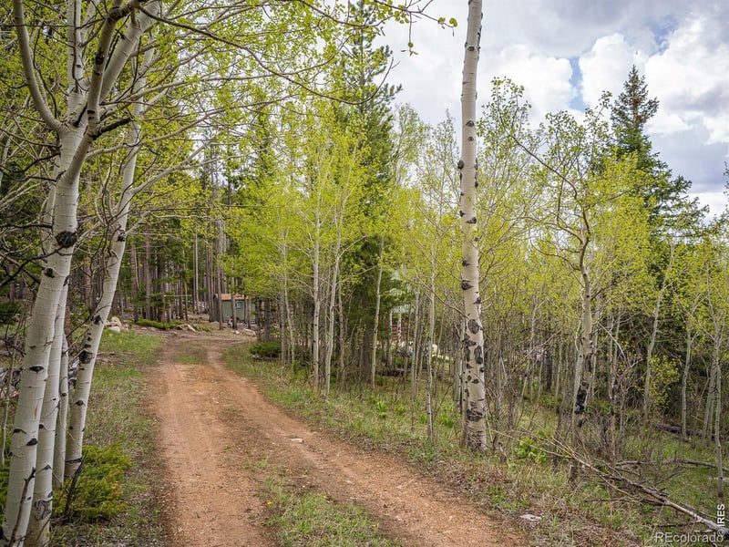 2227 Osage Trl, Red Feather Lakes, CO 80545