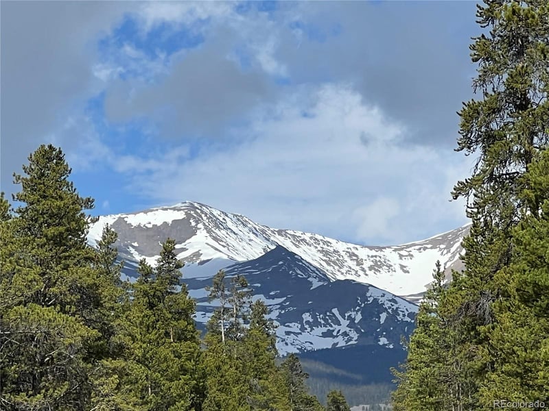 160 Birch Dr, Twin Lakes, CO 81251