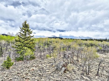 71 Mallard Rd, Como, CO 80432