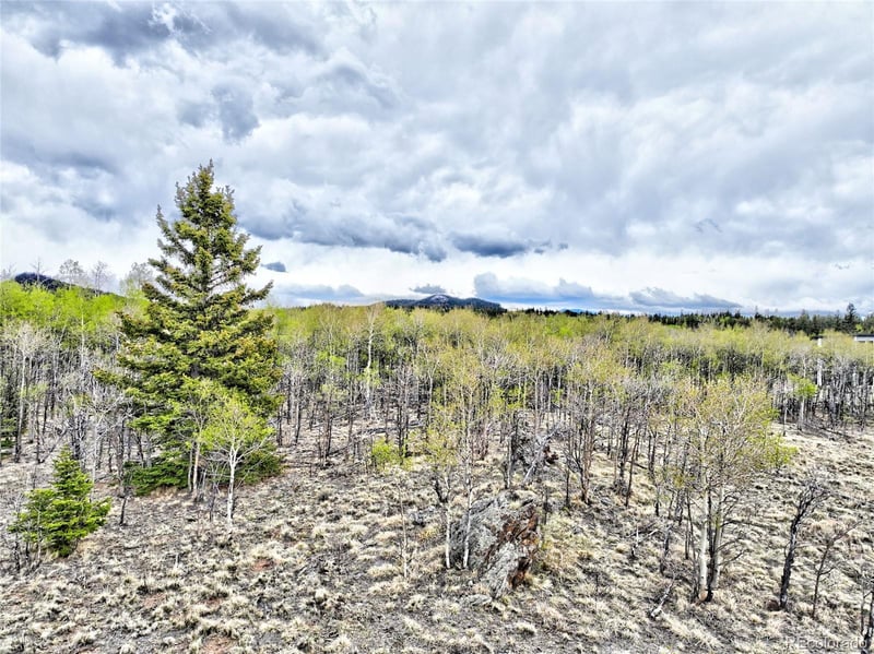 71 Mallard Rd, Como, CO 80432