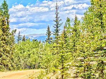 224 Apache Trl, Como, CO 80456