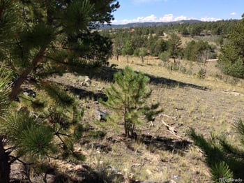 33 Jasper Way, Hartsel, CO 80449