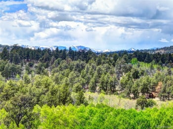 33 Jasper Way, Hartsel, CO 80449