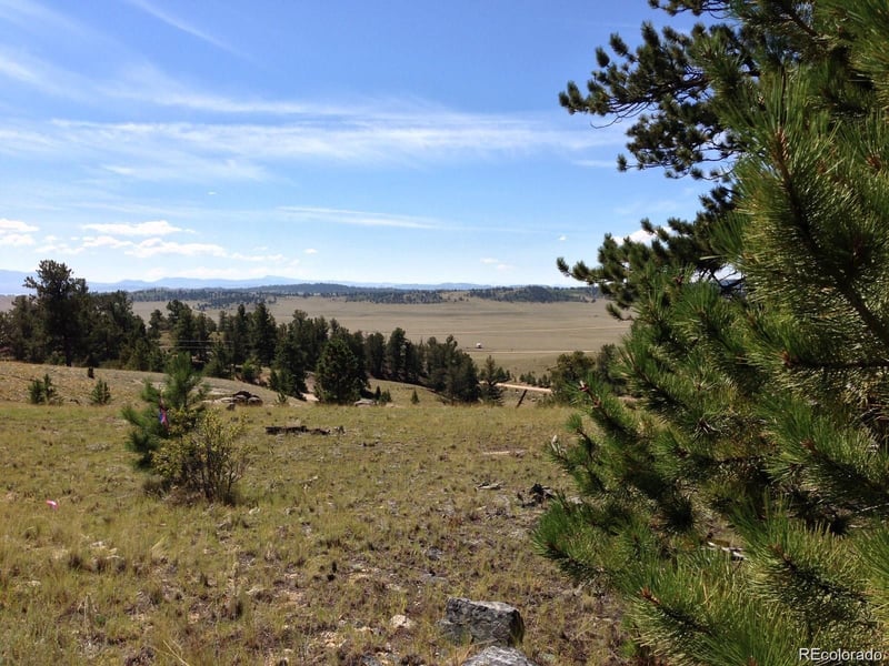 33 Jasper Way, Hartsel, CO 80449