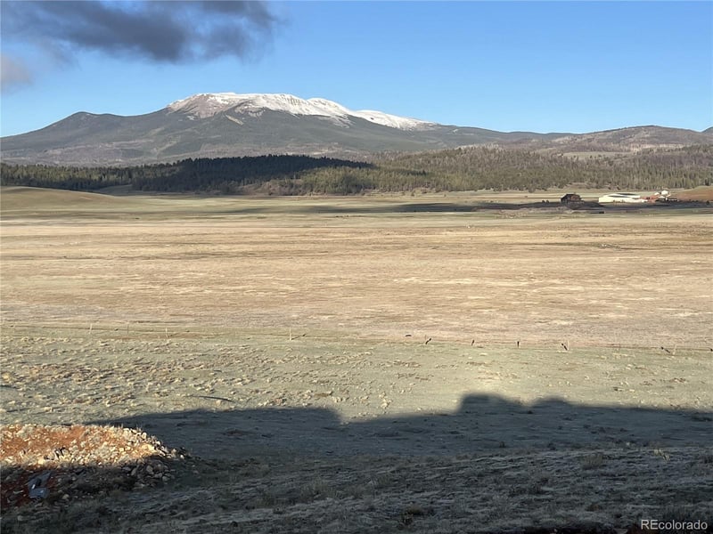 320 South Fork Way, Hartsel, CO 80449