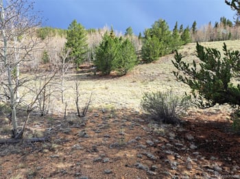 1411 Travois Rd, Como, CO 80432