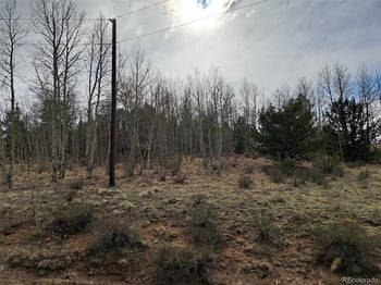 1411 Travois Rd, Como, CO 80432