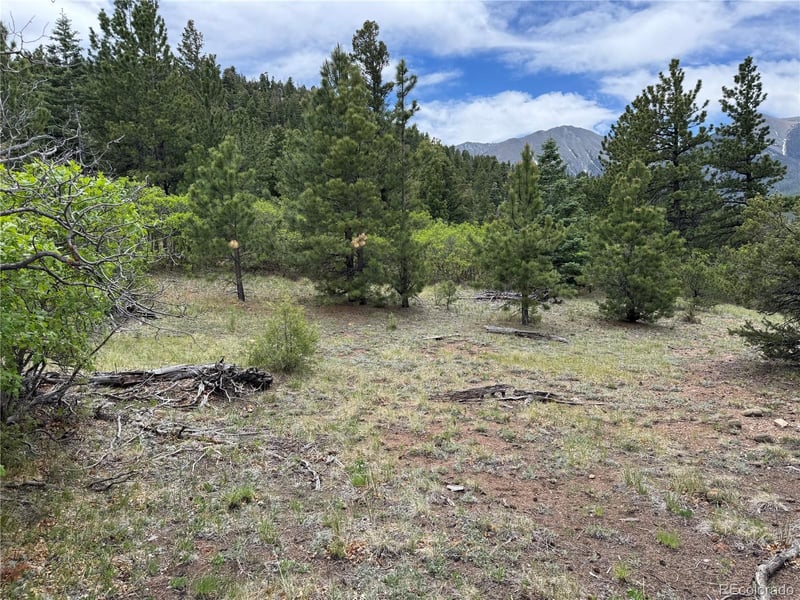 Knotty Pine Rd, Howard, CO 81233