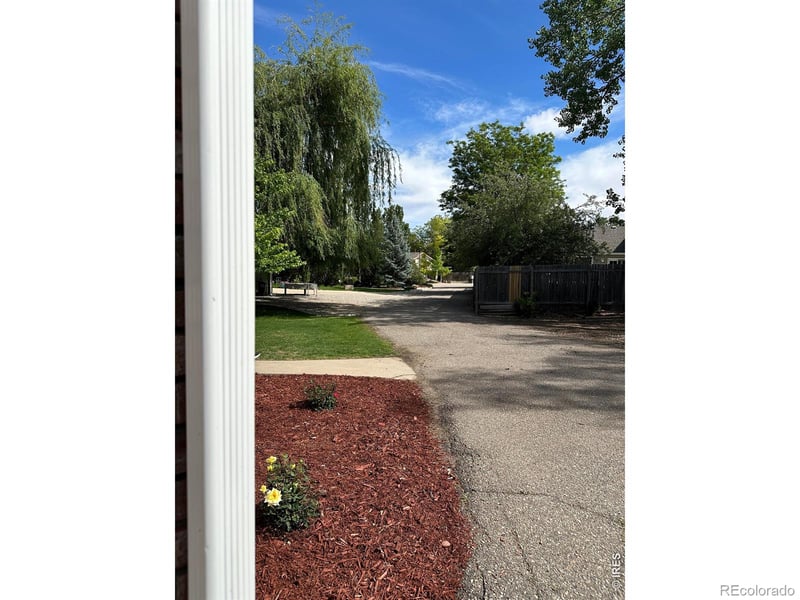 1013 41st St, Loveland, CO 80538