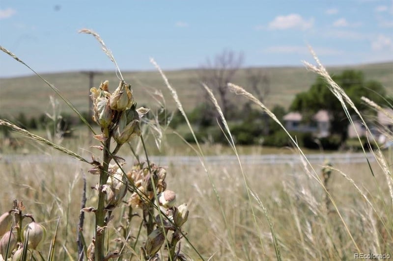 Tract 4 Mcclelland , Calhan, CO 80808