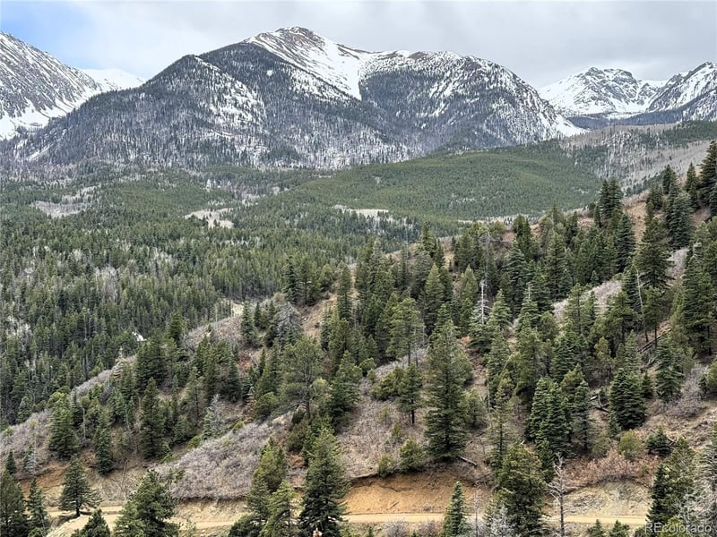 Lot 63 Knotty Pine Rd, Howard, CO 81233