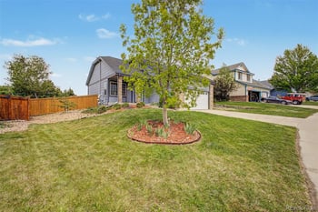 607 Balsa Dr, Castle Rock, CO 80104