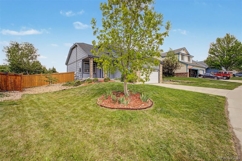 607 Balsa Dr, Castle Rock, CO 80104