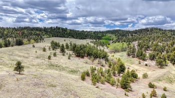 Lot 007 County Road 403, Florissant, CO 80816