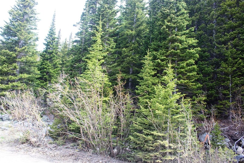 00 Mine Rd, Idaho Springs, CO 80461