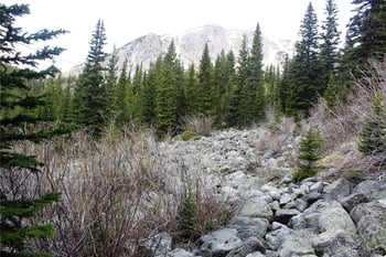 00 Mine Rd, Idaho Springs, CO 80461