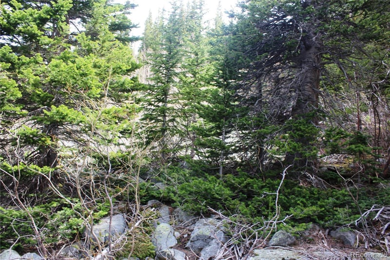00 Mine Rd, Idaho Springs, CO 80461
