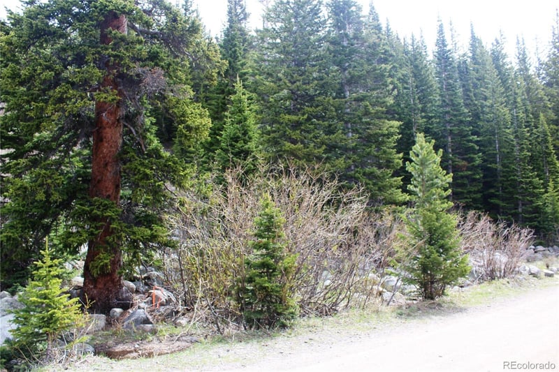 00 Mine Rd, Idaho Springs, CO 80461