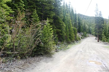 00 Mine Rd, Idaho Springs, CO 80461