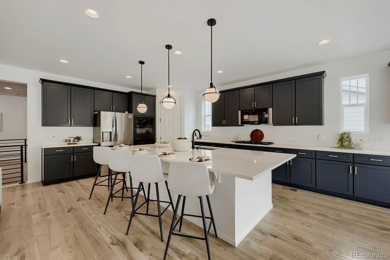 5208 Silver Hare Ct, Castle Rock, CO 80104