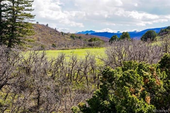 Tbd Rilling Cy, La Veta, CO 81055