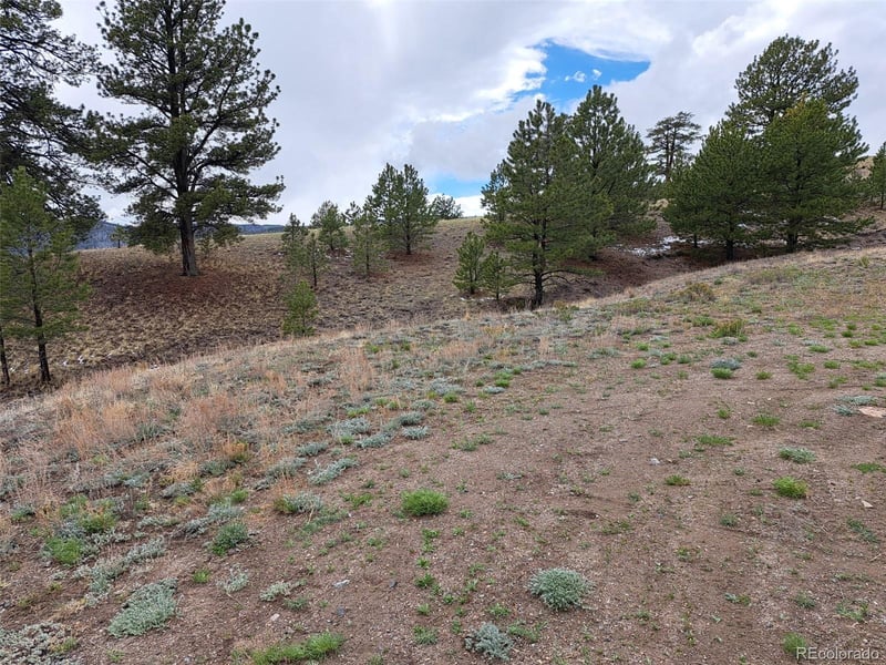 783 Remuda , Hartsel, CO 80449