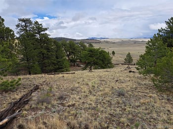 783 Remuda , Hartsel, CO 80449