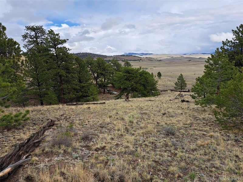 783 Remuda , Hartsel, CO 80449