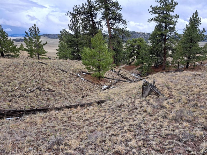 783 Remuda , Hartsel, CO 80449