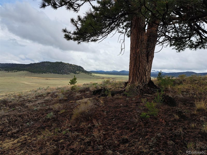 783 Remuda , Hartsel, CO 80449