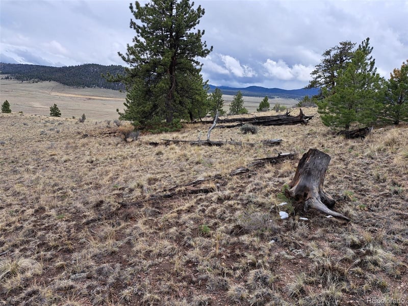 783 Remuda , Hartsel, CO 80449