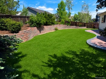12821 Buckhorn Creek St, Parker, CO 80134