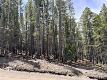 0064 Cr 534 , Breckenridge, CO 80424