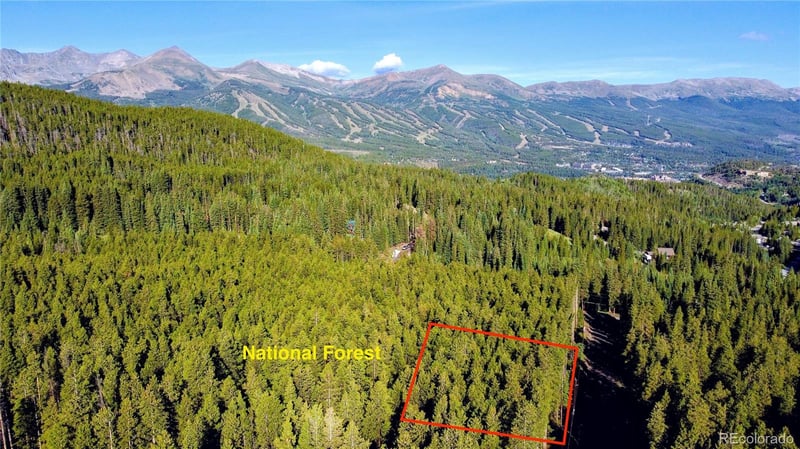 0064 Cr 534 Lot 46, Breckenridge, CO 80424