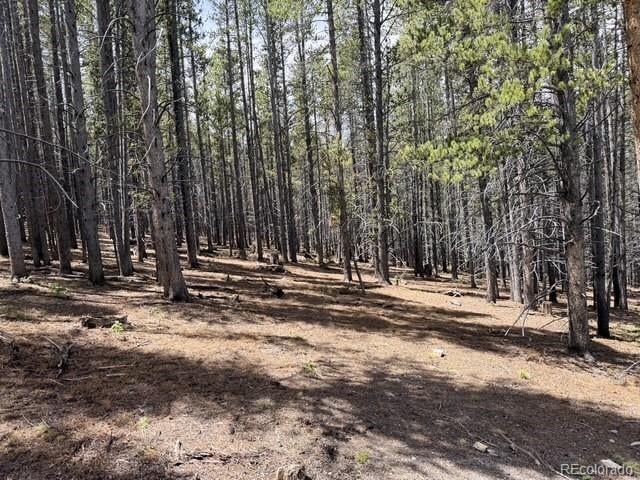 0064 Cr 534 Lot 46, Breckenridge, CO 80424