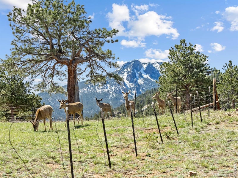 2010 Marys Lake Rd, Estes Park, CO 80517
